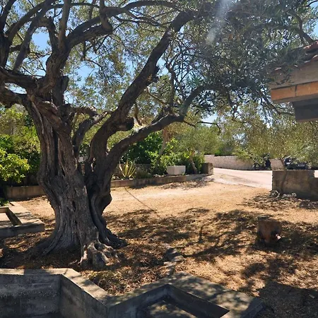 Apartment By The Sea Stupin Celine, - 2096 Rogoznica (Sibenik-Knin)