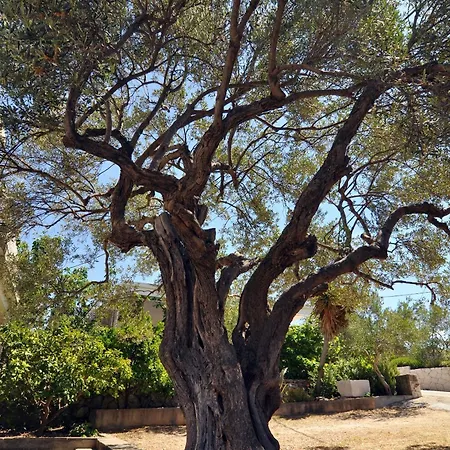 By The Sea Stupin Celine, - 2096 아파트 로고즈니차