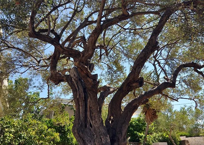 By The Sea Stupin Celine, - 2096 Appartement Rogoznica (Sibenik-Knin)