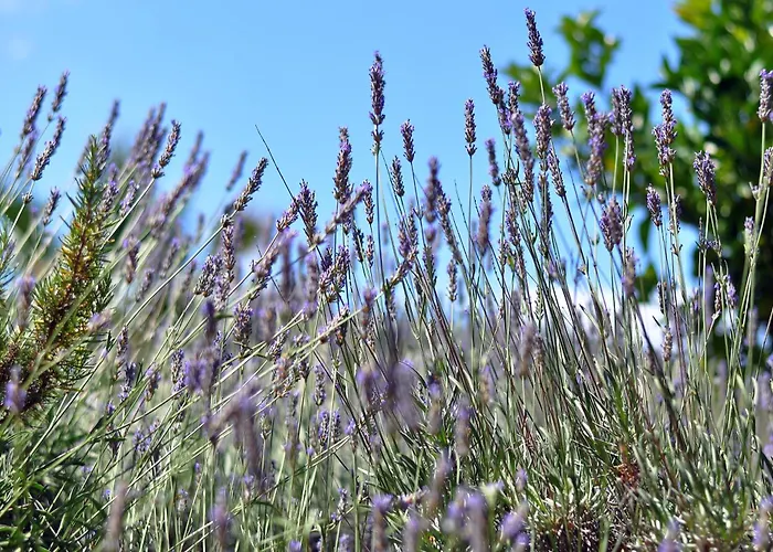 By The Sea Stupin Celine, - 2096 Appartement Rogoznica (Sibenik-Knin)